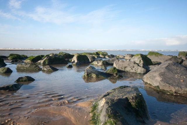 Pakhuis 5 Katwijk aan Zee Ngoại thất bức ảnh